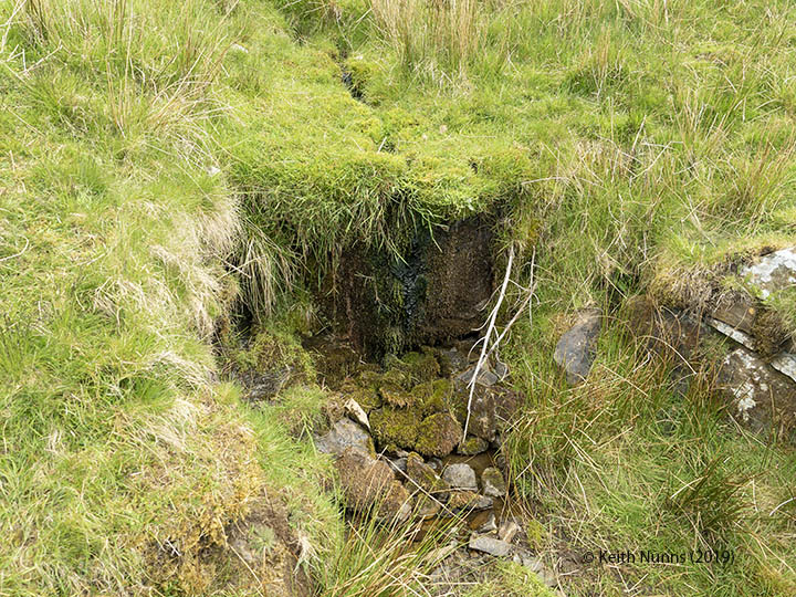 252640: Culvert (1' 9"" diameter): Detail view from the West