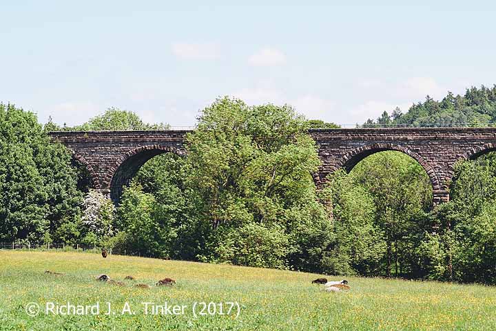 Bridge SAC/320 (Armathwaite Viaduct): west elevation, centre (3)