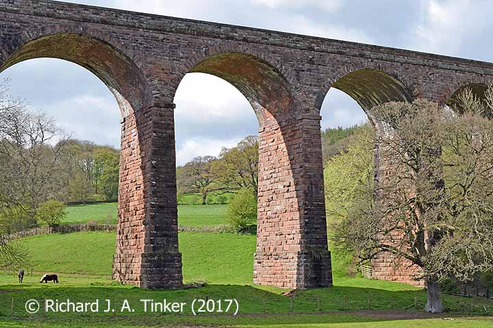 Bridge SAC/326 (Dry Beck Viaduct): central arches from the southeast