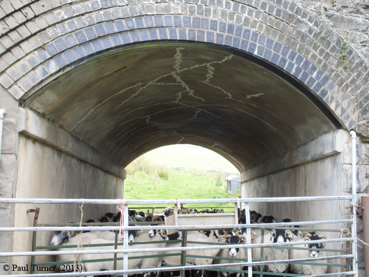 Bridge No 177 - Keel Well: Elevation view of underside of arch from East