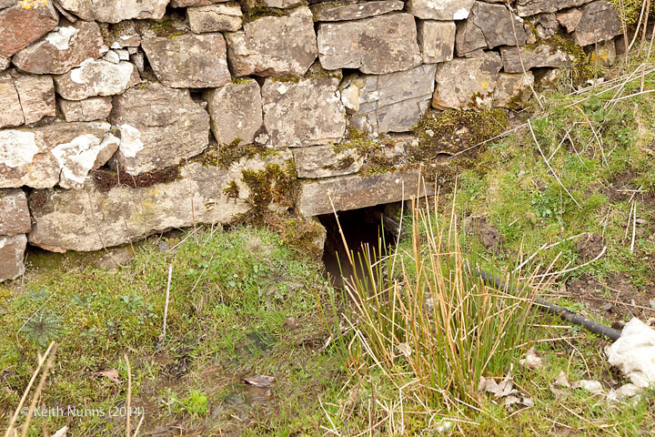 261920: (Culvert 1' 9" diameter): Detail view from the south east