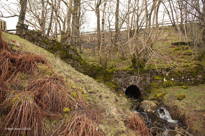 263010: (Culvert 4' 0" diameter):Context view from the east