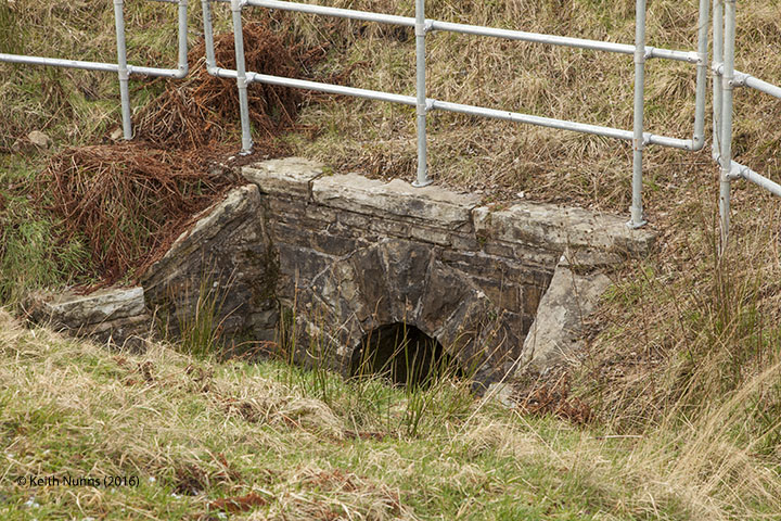 255040: Culvert (3' 0" diameter): Context view from the north east