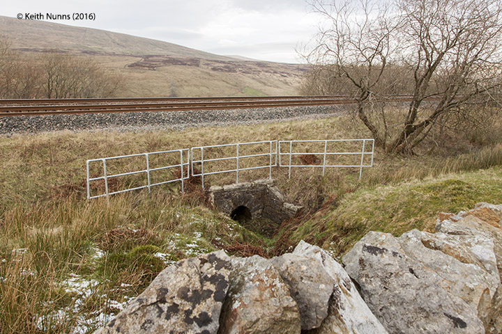 255040: Culvert (3' 0" diameter): Context view from the south east