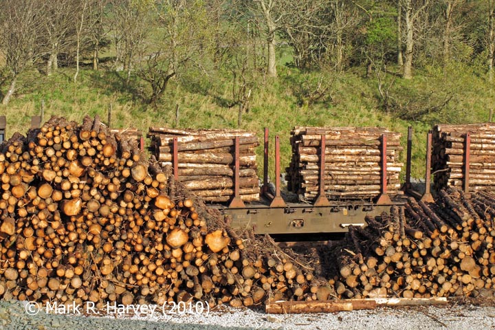Ribblehead Railhead: Timber Transhipment 2