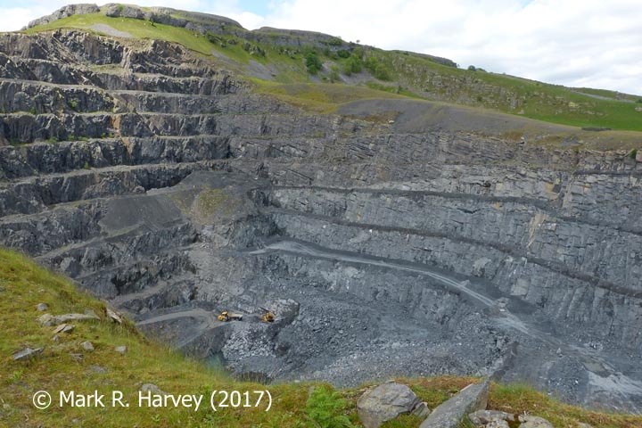 Dry Rigg Quarry viewed from the southeast