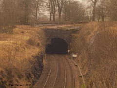Bridge 20 - Stainforth Tunnel South Portal: View from south