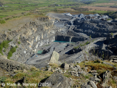 Arcow Quarry viewed from the north-northwest (1).