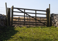 Level Crossing: Detail from east