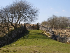 Level Crossing: View from east