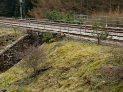 250830: Bridge SAC/73 - Mossy Bottom (occupation): Elevation view from the south west