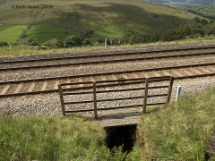 252640: Culvert (1' 9"" diameter): Elevation view from the East
