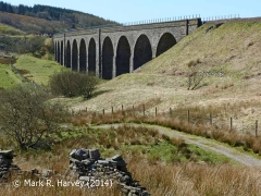 Dandrymire Viaduct (Bridge SAC/117), context view from the north east.