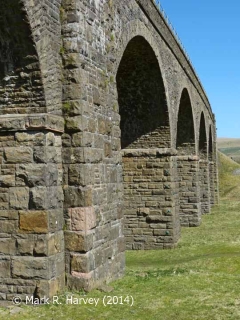 Dandrymire Viaduct (Bridge SAC/117), piers from the south east (1).