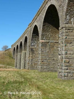 Dandrymire Viaduct (Bridge SAC/117), piers from the south west.
