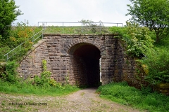 269570: Bridge SAC/199 - Robinson's (PROW - bridleway / occupation): Elevation view from the West