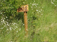 Milepost 302 - north elevation