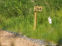 Milepost 304 - south elevation
