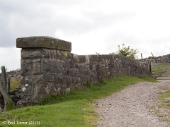 Bridge No 175 -Swallow Pot Lane: Elevation abutment & parapet wall from East (1)