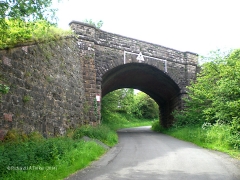 270340: Bridge SAC/207 - Gallansey Lane: Context view from the south east