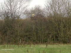 305000: Milepost 305: Context view from the south west