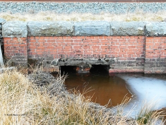 259630 Culvert (1' 6" diameter): Detail view from the west