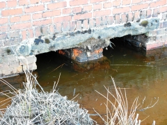 259630 Culvert (1' 6" diameter): Detail view from the west