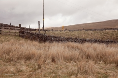 259510 Level Crossing - White Birch (disused): Context view from the south west