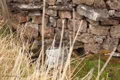 259630 Culvert (1' 6" diameter): Detail view from the east