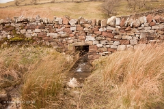 261580: Culvert (1' 9" diameter) Bank Gill: Elevation view from the east