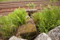 263350: Culvert (1' 6" diameter): Detail view from the west