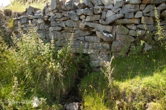 263130: Culvert (1' 8" diameter): Detail view from the east