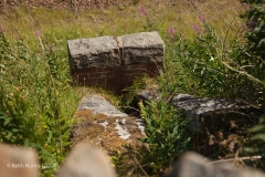 263150: Culvert (1' 8" diameter): Detail view from the west