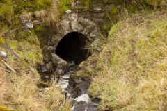 263010: (Culvert 4' 0" diameter):Detail view from the west