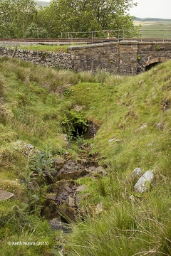 256140: Culvert (3' 0" diameter): Elevation view from the south east