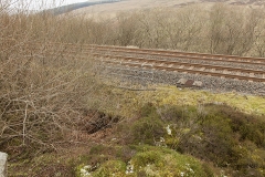 255360: Culvert - Skelton's Gill: Elevation view from the north east
