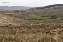 256560: Garsdale - Workers' Housing: Context view from the south west