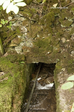237300: Culvert (2' 6" diameter): Detail view from the north east