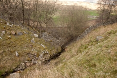 255770: Bridge SAC/107 - Smout Gill:Context view from the north east