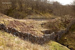 255770: Bridge SAC/107 - Smout Gill:Context view from the north west