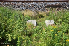 253230: Culvert (1' 9" diameter): Elevation view from the east
