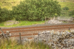 255310: Level Crossing (occupation - abolished): Elevation view from the east