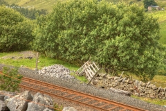 255310: Level Crossing (occupation-abolished): Elevation view from the northeast
