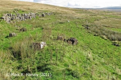 Ribblehead Railway Construction Camp Stone Sorting Yard: Context from southwest