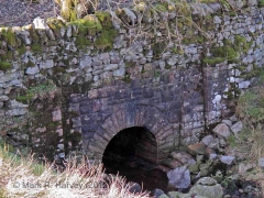 Culvert 248650 (Hare Gill): Elevation view from the south-east