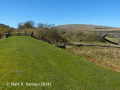 Trackbed of former Hawes Branch: View to southwest from Bridge 1