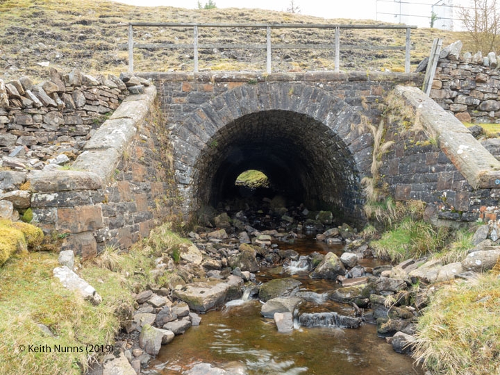 250850: Bridge SAC/74 - Long Gill (stream): Elevation view from the west