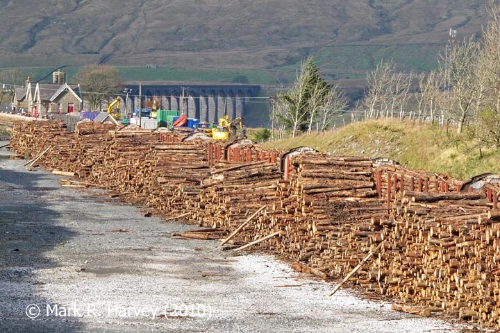 Ribblehead Railhead: Timber Transhipment 1