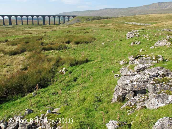 Ribblehead Railway Construction Camp Stone Sorting Yard: Context from the east